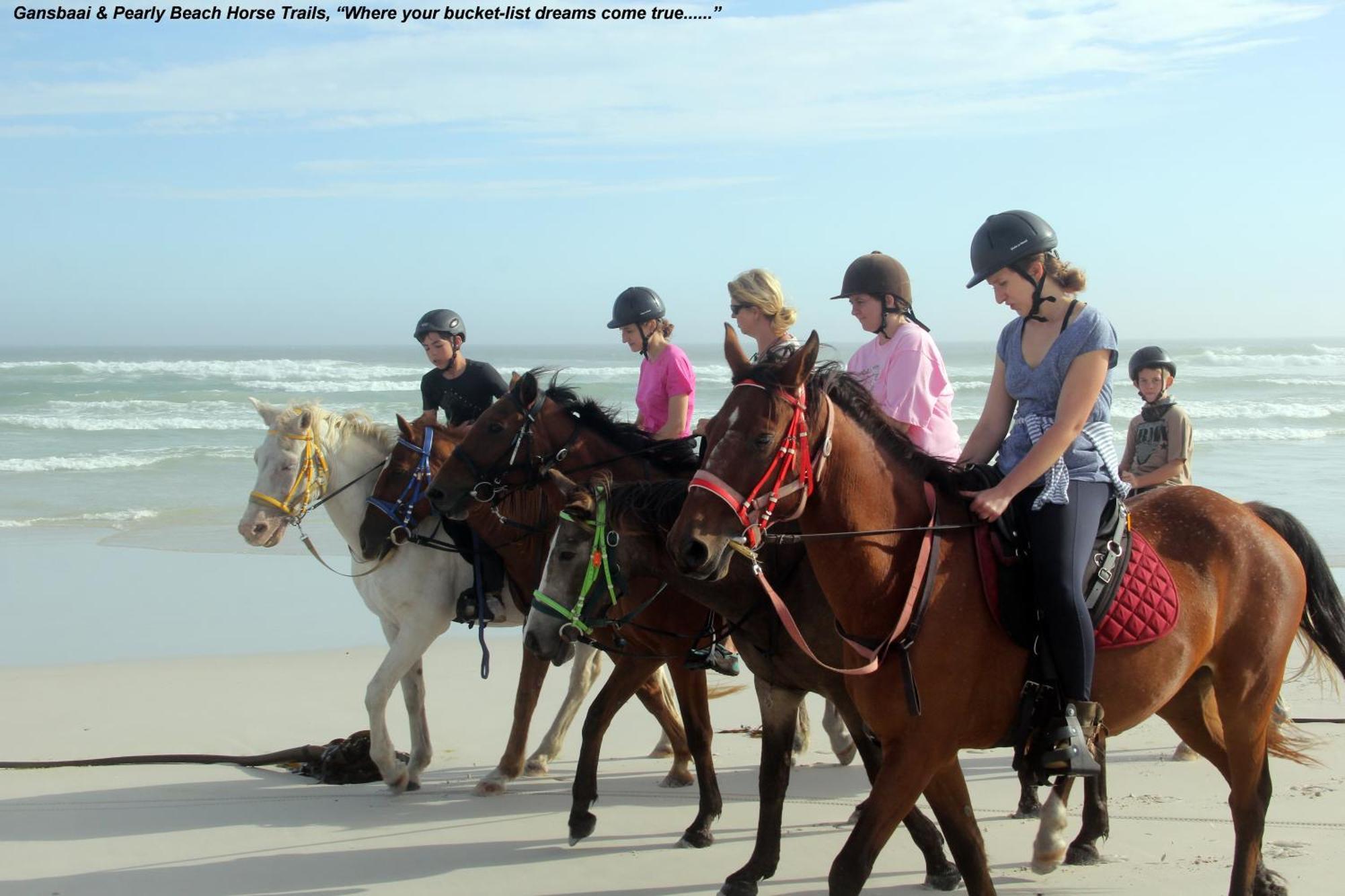 Franskraalstrand Blombos Self-Catering Houseヴィラ エクステリア 写真