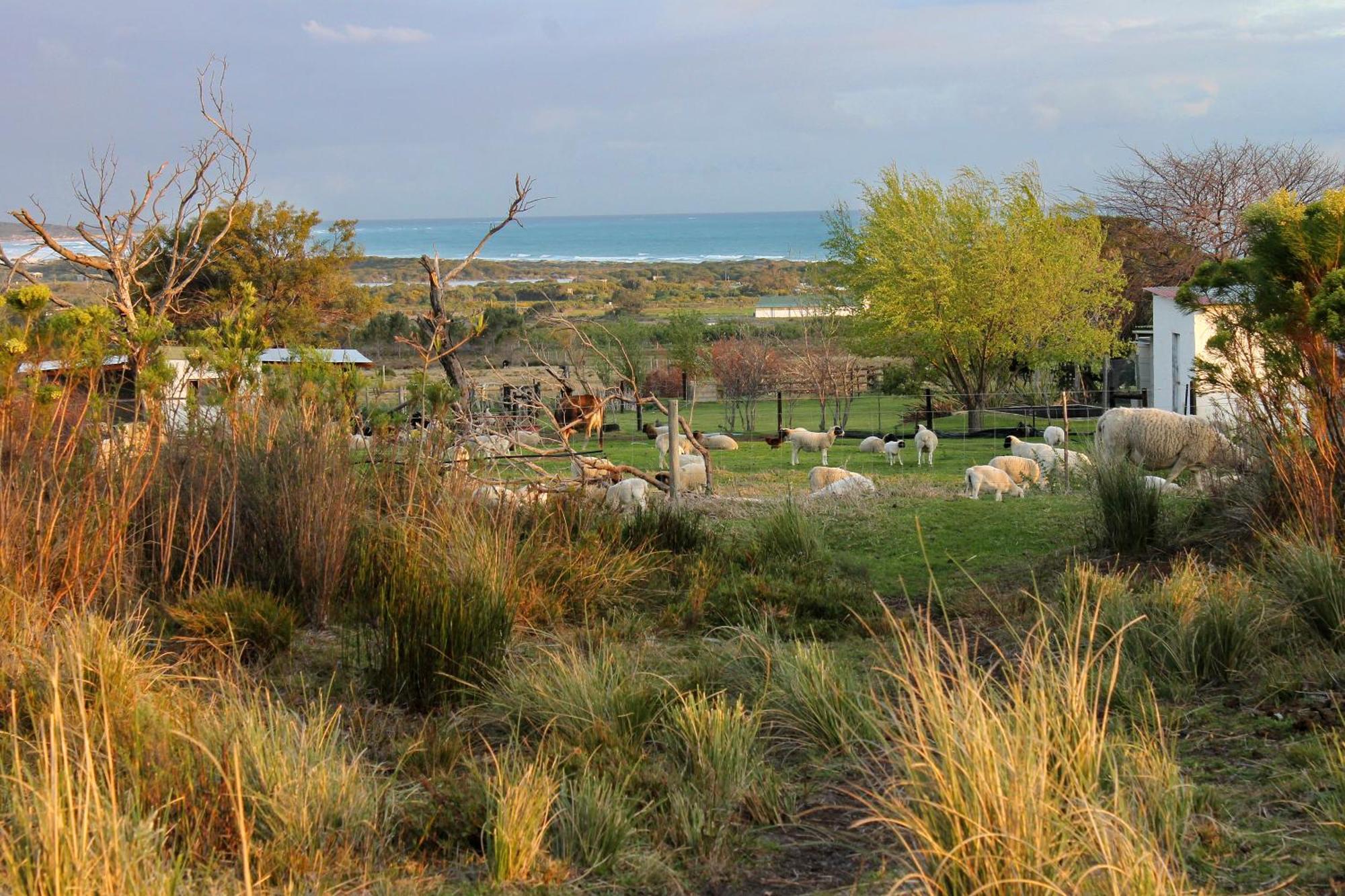 Franskraalstrand Blombos Self-Catering Houseヴィラ エクステリア 写真